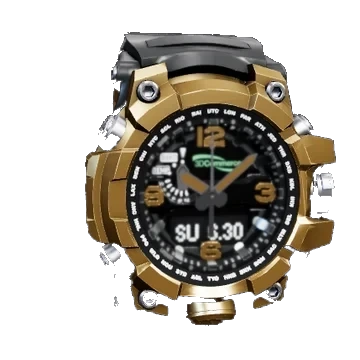 Swiss Chronograph Watch
