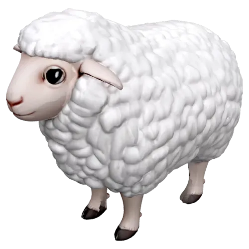Sheep