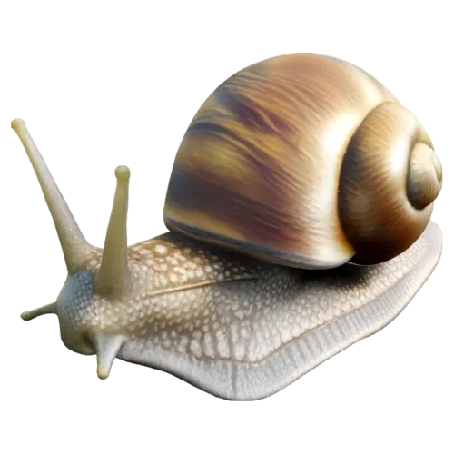 Happy Snail
